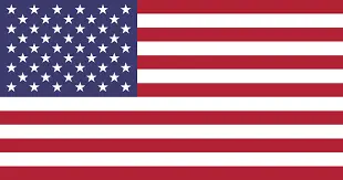 american flag-Tyler